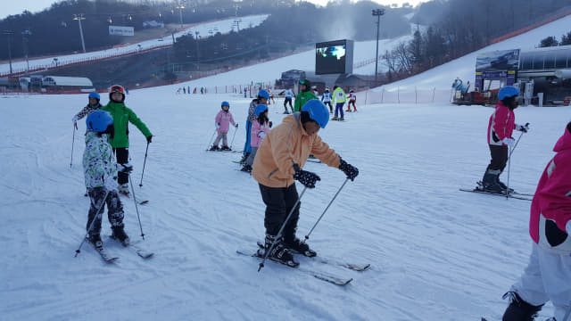 창녕 유어초등학교 학생들이 지난 18~20일 비발디파크에서 스키 체험을 하고 있다./유어초/