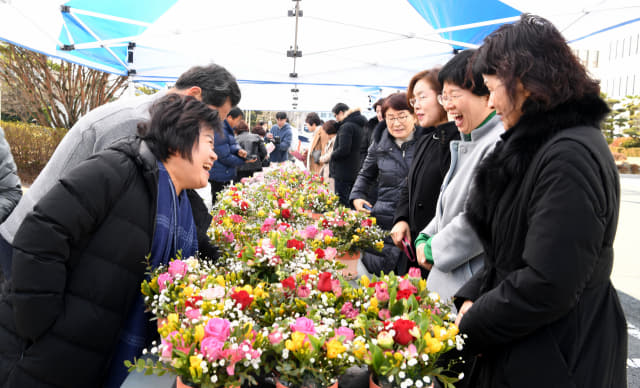 18일 오후 경남교육청 주차장에 화훼 농가를 돕기 위해 마련된 꽃 시장에서 교육청 직원들이 꽃을 구매하고 있다./성승건 기자/