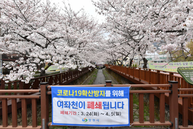 주말인 29일 대표적인 벚꽃 명소인 창원시 진해구 여좌천 일대가 코로나19로 폐쇄돼 한산하다./전강용 기자/