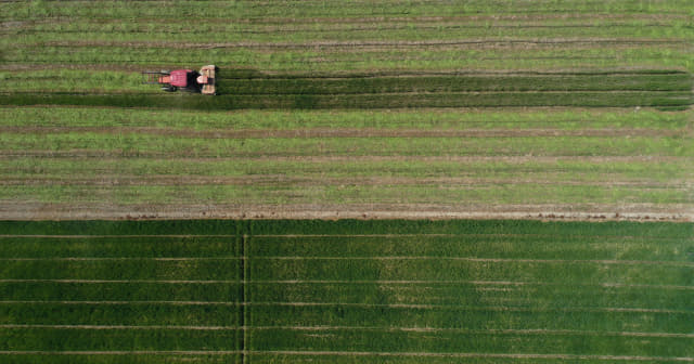 27일 오후 창원시 의창구 대산면의 한 들녘에서 한 농부가 트랙터로 사료용 호밀을 수확하고 있다./김승권 기자/