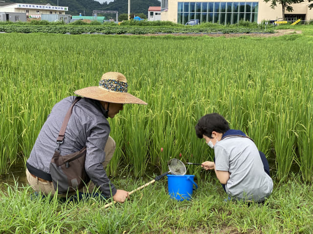 청소년 환경기자들이 김해 봉하마을에서 수생곤충을 관찰하고 있다.