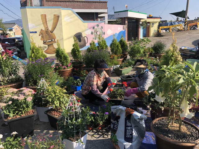 21일 고성읍 무학마을 주민들이 120m 마을골목을 장식할 꽃과 나무를 화분에 옮겨 심고 있다./고성군/