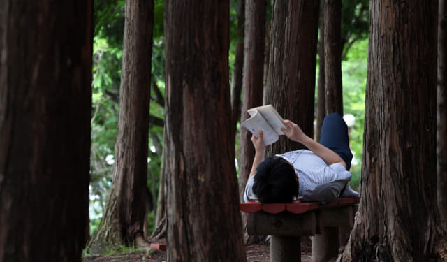 창원시 의창구 용지호수공원에서 김재경 기자가 벤치에 누워 독서를 하고 있다./성승건 기자/