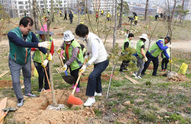 30일 창원시 의창구 사화공원에서 시민과 공무원들이 식목일을 앞두고 나무를 심고 있다./김승권 기자/