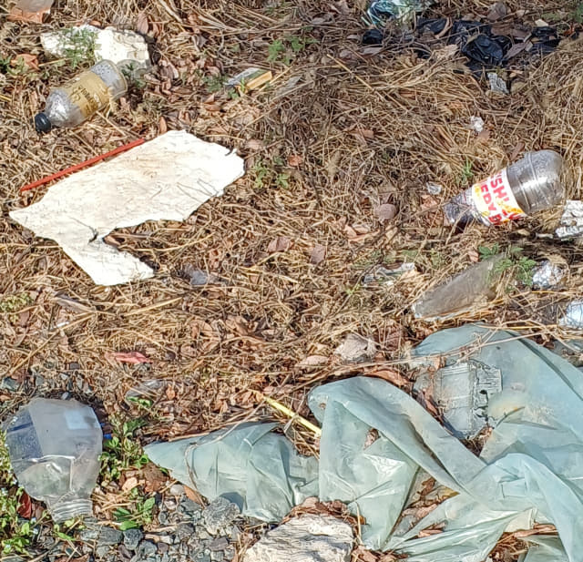 길가에 버려진 비닐과 페트병.