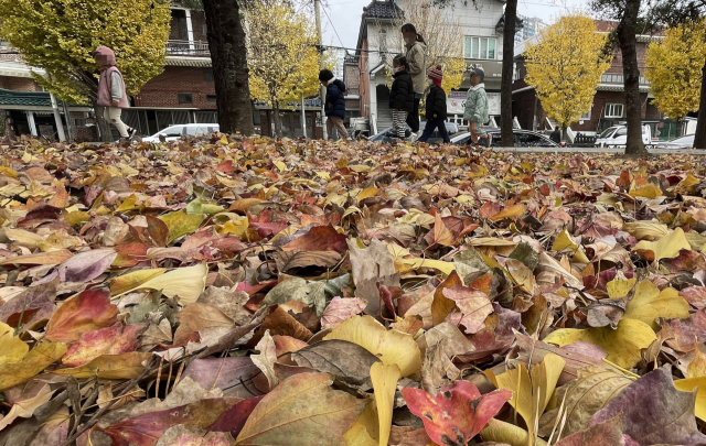 29일 창원시 성산구 대원레포츠공원을 찾은 시민들이 낙엽이 떨어진 산책로를 걷고 있다./김승권 기자/