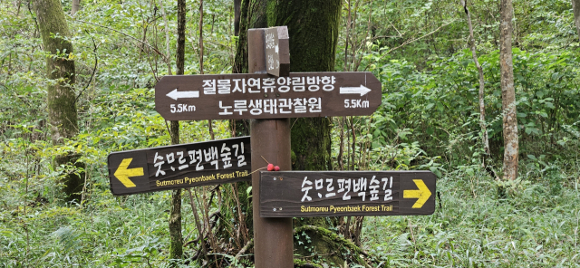 한라생태숲과 절물휴양림 사이 이정표.