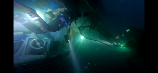통영해경 소속 잠수사들이 전복된 어선 내부에 들어가 실종자를 찾고 있다./통영해양경찰서/