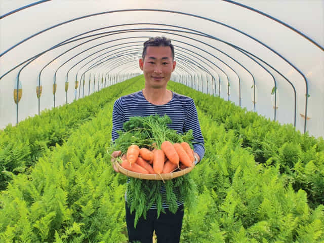 김종식 승승농장 대표가 자신의 농장에서 수확한 당근을 들어보이고 있다./창원시/