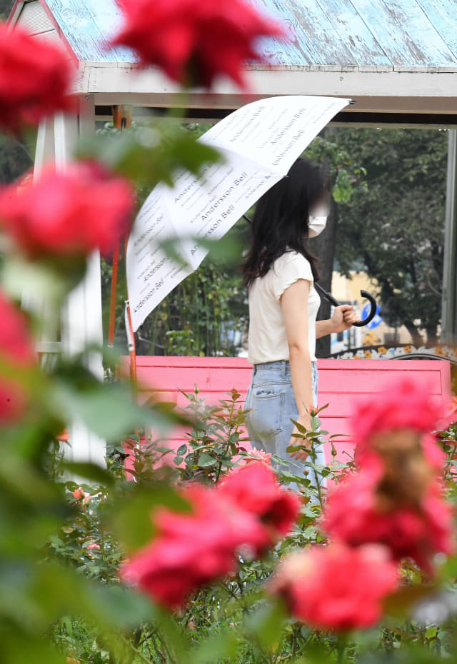 17일 오후 창원시 성산구 장미공원에서 우산을 쓴 한 시민이 산책을 하고 있다./성승건 기자/