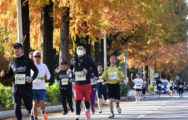 제19회 경남마라톤대회 건강달리기 참가자들이 13일 오전 가을빛으로 물든 메타세쿼이아 나무 아래를 달리고 있다./성승건 기자/ ★관련기사 19면