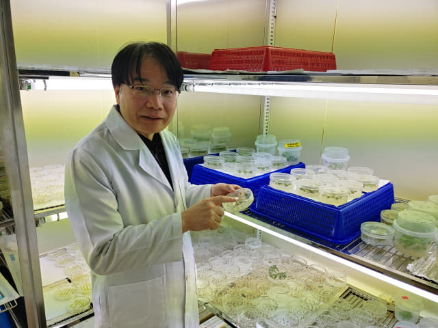김재연 눌라바이오 대표가 연구실에서 식물 배양 샘플을 설명하고 있다.