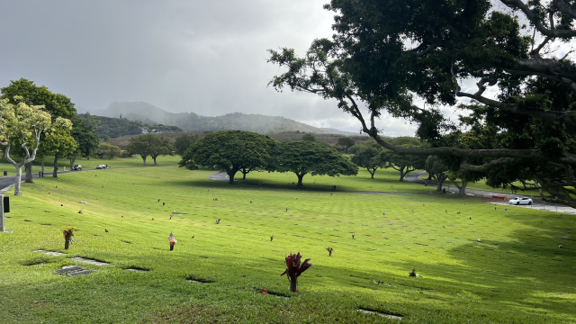 하와이 오하우섬에 조성된 국립태평양기념묘지.